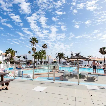 Fuerte Holiday Caleta In Style